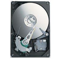 Festplatten: Seagate ST3750640A-RK Retail Kit Festplatte 750.0 GB U-ATA/100 16.0 MB