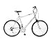 RALEIGH 17inch Voyager Gents