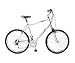RALEIGH 20inch Voyager Gents