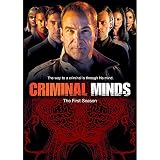 DVD: Menti criminali - la prima stagione