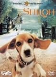 ビーグル犬 シャイロ 特別版