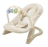 Summer Infant Deluxe Soft Embrace Gund Bouncer