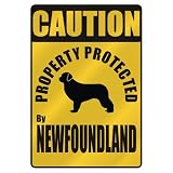 CAUTION  PROPERTY PROTECTED BY NEWFOUNDLAND  PARKING SIGN DOG