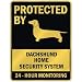   - PROTECTED BY 