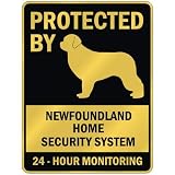 PROTECTED BY  NEWFOUNDLAND HOME SECURITY SYSTEM  PARKING SIGN DOG