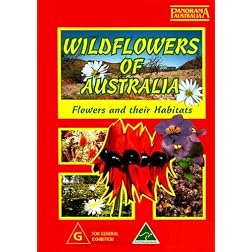 Wildflowers Of Australia [PAL]