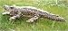 Alligator Finger Puppet