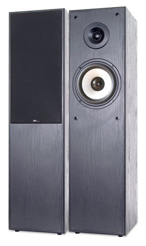 Digitalkameras: DK Digital LS 180 2-Wege Standlautsprecher-Set schwarz