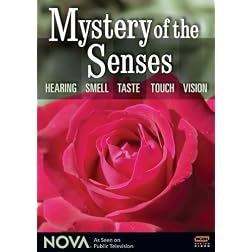 NOVA: Mystery of the Senses