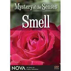 NOVA: Mystery of the Senses - Smell