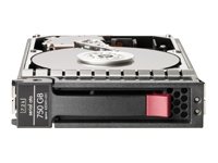 Heimkinosysteme: HP 750GB HDD 7200rpm sATA HotPlug