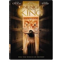 One Night with the King