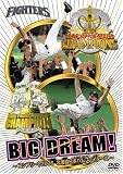 BIG DREAM! ~�R���v���[�g2006�k�C�����{�n���t�@�C�^�[�Y~