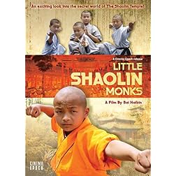 Little Shaolin Monks