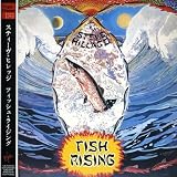 フィッシュ・ライジング(紙ジャケット仕様)