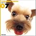   - THE DOG Artlist - 2007 Yorkshire Terrier (Yorkie) Wall Calendar
