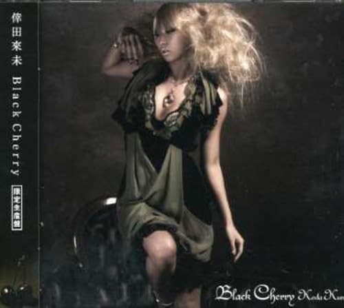 Black Cherry (ÆÃÀ½¥Ñ¥ó¥Õ¥ì¥Ã¥ÈÉÕ ½é²ó¸ÂÄêÈ×)(DVDÉÕ)