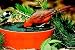  - Deluxe Solar Sipper - Wild Bird Watering Station / Birdfeeder Water Accessory
