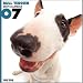   - THE DOG Artlist - 2007 Bull Terrier Wall Calendar