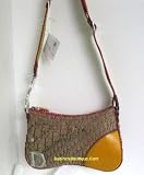 Christian Dior Handbags (Rasta) JDR44038 Double Saddle Bag