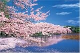 1000ピース 桜咲く不忍池-東京 10-658