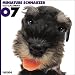   - THE DOG Artlist - 2007 Miniature Schnauzer Wall Calendar