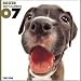   - THE DOG Artlist - 2007 Boxer Wall Calendar