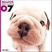   - THE DOG Artlist - 2007 Bulldog Wall Calendar