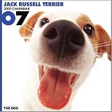THE DOG Artlist - 2007 Jack Russell Wall Calendar