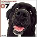   - THE DOG Artlist - 2007 Newfoundland Wall Calendar