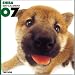   - THE DOG Artlist - 2007 Shiba Inu Wall Calendar