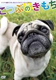 �u�����ł��Ȃ��j�v�̃p�O���E�P��������DVD �u���Ԃ̂������v