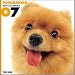   - THE DOG Artlist - 2007 Pomeranian Wall Calendar