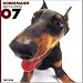   - THE DOG Artlist - 2007 Doberman Wall Calendar
