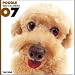   - THE DOG Artlist - 2007 Poodle Wall Calendar