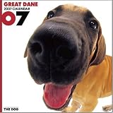THE DOG Artlist - 2007 Great Dane Wall Calendar