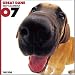   - THE DOG Artlist - 2007 Great Dane Wall Calendar