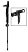 WALKING STICK WITH COMPASS AND FLASHLIGHT