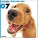   - THE DOG Artlist - 2007 English Cocker Spaniel Wall Calendar