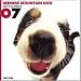   - THE DOG Artlist - 2007 Bernese Mountain Dog Wall Calendar