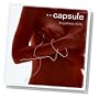SSugarless GiRL, capsule