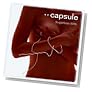 SSugarless GiRL, capsule