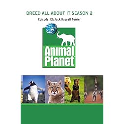 Breed All About It Season 2 - Episode 12: Jack Russell Terrier