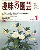 NHK ��̉��| 2007�N 01���� [�G��]