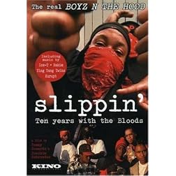 Slippin: Ten Years with the Bloods