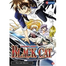 Black Cat, Vol. 3 - Cat and Mouse