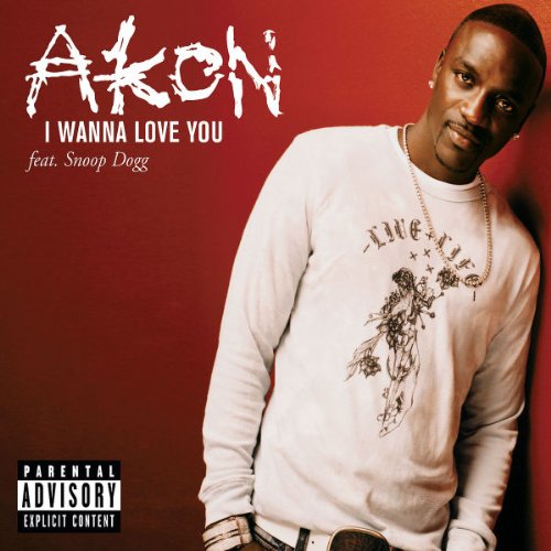 Akon Feat. Snoop Dogg - I Wanna Love You Lyrics - Zortam Music