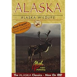 Alaska Wildlife