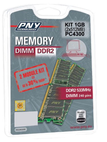 Projektoren: PNY DIMM DDR2 PC533 (PC4300) 512 MB CL4 Arbeitsspeicher, 2 Stk.