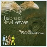 Elephantitis: The Funk+House Remixes by Brand New Heavies